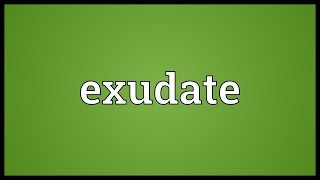 Exudate Meaning [upl. by Elsie334]