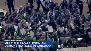 54 arrested after protest blocks I190 near Chicago OHare Airport Loop march stops traffic [upl. by Eahsed]