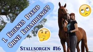 Erstes eigenes Pferd  ohne Erfahrung ft Natalie Horsesteps Stallsorgen 16  Serenity Horses [upl. by Navac291]