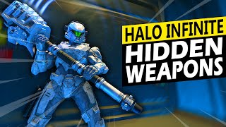 EVERY Hidden Weapon Variant in Halo Infinite Explained amp Reviewed [upl. by Holofernes748]