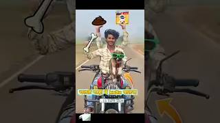 चलती गाड़ी में kutta बनना 🩱🔥💥funny dog new [upl. by Phio]