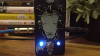 Walrus Audio Julia Chorus Demo [upl. by Snilloc]