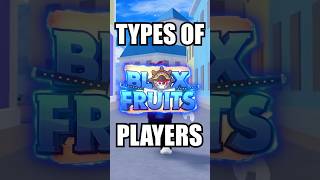 types of ROBLOX blox fruits players [upl. by Ellerd]