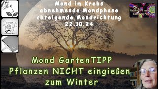 Mond Garten TIPP 1 Pflanzen im Garten nicht eingießen vor dem Winter [upl. by Nemhauser]