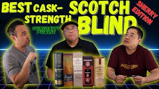 BEST Cask Strength Scotch  Sherry Bomb Edition  Blind Tasting  Curiosity Public [upl. by Lebatsirc]