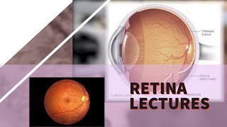 RETINA lecture 18 RETINOPATHY OF PREMATURITY pathogenesis zones of retina in detail [upl. by German581]