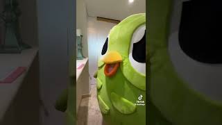 Duolingo bird gets a BBL in a new TikTok [upl. by Beckett229]