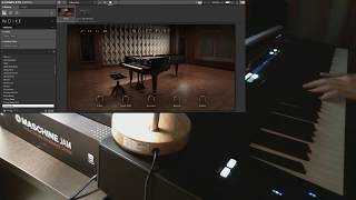 Native Instruments NOIRE all sounds demo [upl. by Weide417]