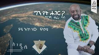 quotእንደራሴquot ግርማ ተፈራ  quotEnderasequot Girma Tefera visulaizer sewasewmultimedia [upl. by Mur]