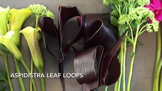 DIY flower adding Aspidistra leaves to your arrangements and bouquets [upl. by Lucia]