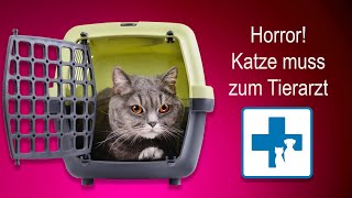 Horror Wie bekomme ich meine Katze zum Tierarzt [upl. by Una]