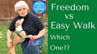 Freedom No Pull Harness vs Easy Walk Which One To Choose [upl. by Aneetak]