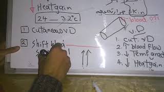 Thermoregulatory response to Cold continued  Hot weather dr mohamed fayez [upl. by Nimsay710]