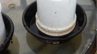 DIY Chicken Feeder and Waterer [upl. by Arracat]