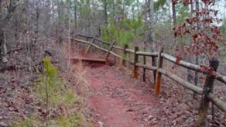 PROVIDENCE CANYON STATE PARK  TRAIL DOWN INTO CANYON LUMPKIN GEORGIA USA [upl. by Yattirb]