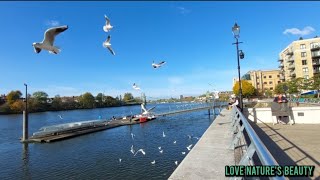 Epic Nature Relaxing Place  Hammersmith River Thames London  Love natures beauty [upl. by Ralph]