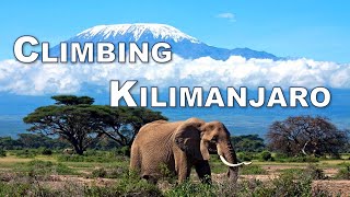 Climbing Kilimanjaro  The Highest Freestanding Mountain in the World [upl. by Aray]