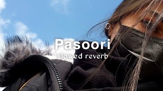 Pasoori  slowed  reverb   lofi melodies [upl. by Ellison]