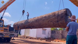 La Mayor Fábrica De Procesamiento De Madera Peligrosa Fabrica Mesas De Madera Gigantes Para Comedor [upl. by Malek]