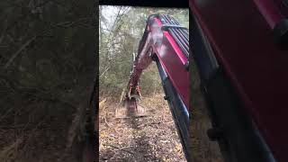 Clearing brush around old deer blind yanmar ruttreeslayer deerhunting camp brushclearing [upl. by Benedix]