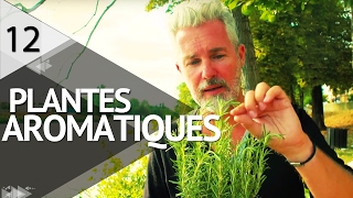 Cultiver des plantes aromatiques  PLANTISTE  ÉPISODE 12 [upl. by Adniram]