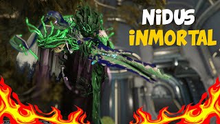 BUILD NIDUS PRIME  INMORTAL  WARFRAME [upl. by Elleiram653]