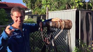 Backyard Birding with Luke Paterson  Striated Pardalote [upl. by Rainger]