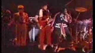 Peter Tosh  Pick myself up live in reggae sunsplash ´79 [upl. by Esemaj]