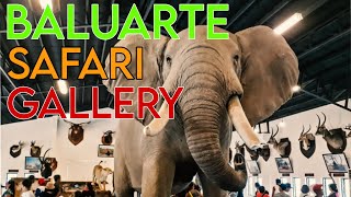 BALUARTE Safari Gallery Museum  Vigan Ilocos Sur [upl. by Gnek]