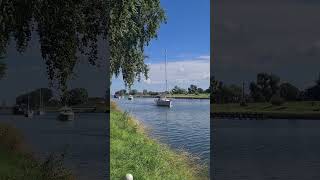 ⛵🌅 Boats at Canal between Middelburg and Vlissingen travelwithhugof zeeland netherlands boats [upl. by Borrell571]