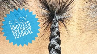 Easy KNOTLESS Box Braid Tutorial [upl. by Rihat]