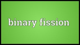 Binary fission Meaning [upl. by Siramad]