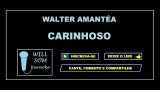 Carinhoso Karaoke  Walter Amantéa [upl. by Milano]