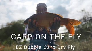 잉어 플라이 낚시 Fly Fishing  Carp On The Dry Fly  EZ Bubble Field Test 1 [upl. by Post]