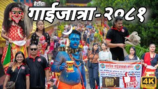 Gai Jatra  saparu  gai jatra hetauda  gaijatra festival 2081 [upl. by Dulci]