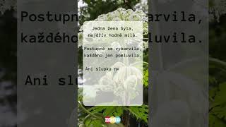 Potvora basnicka poesie poezie cteni kniha knihy mluveneslovo audiokniha [upl. by Ellissa]