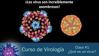 Clase 1  ¿Qué es un virus [upl. by Inama643]