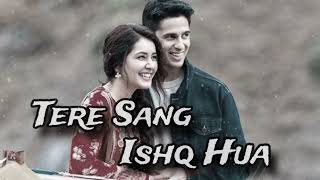 TERE SANG ISHAQ HUVA  SED SONG  mind relaxing  lofi song [upl. by Stanfill628]