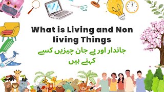 What is Living and Non living Things [upl. by Skill]