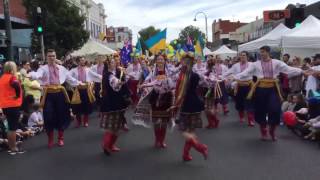 Українців визнали найкращими на головному етнопараді Австралії [upl. by Smiley130]