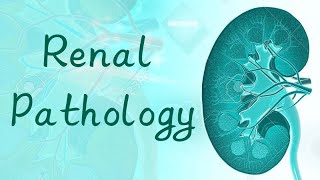 RENAL PATHOLOGY 12  Renal Carcinoma [upl. by Maharva]