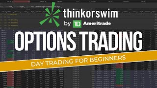 How To Trade OPTIONS On ThinkorSwim  Day Trading For Beginners [upl. by Wei]