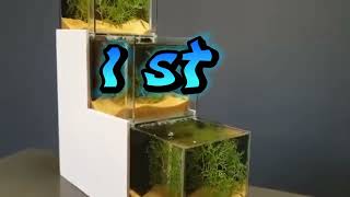 Two World smallest aquarium used box and painted [upl. by Appledorf270]