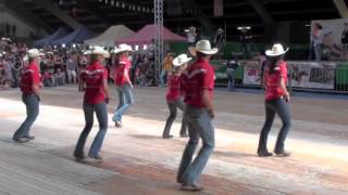 Fast As A Shark line dance  WILD COUNTRY  Voghera Country Festival 2012 [upl. by Aicil438]