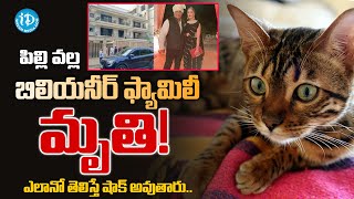 Uttar Pradesh A billionaire family Cat Incident  పిల్లి వల్ల బిలియనీర్ ఫ్యామిలీ మృతి idreamvizag [upl. by Eilhsa]