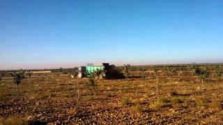 Abonado con estiercol de Plantacion de Pistachos Joven en Castilla la Mancha [upl. by Ainot]