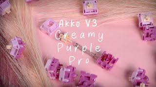 Akko V3 Creamy Purple Pro Switch Review  Sound Test Comparison [upl. by Matthia]