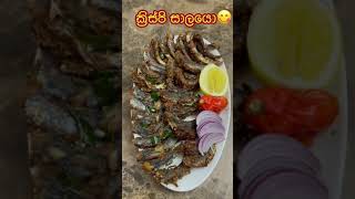 කට උළුක්වෙන දිව තව තව ඉල්ලන ක්‍රිස්පි සාලයො😋  TASTY CRISPY FRY FISH [upl. by Cymbre956]