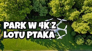 Relaksujące Ujęcia z Drona DJI mini 3 Park Sanguszków w Tarnowie 4K [upl. by Harat]