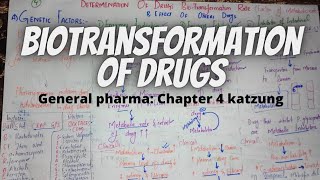 Biotransformation of drugs UrduHindi Enzyme induction amp inhibitionkatzung chapter 4 pharmacology [upl. by O'Callaghan256]